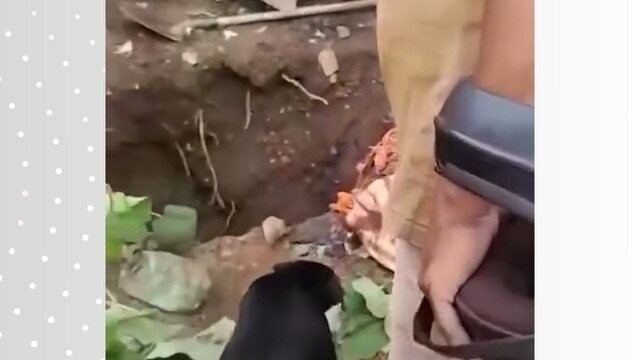 Vídeo mostra cova no quintal de casa onde homem foi enterrado após ser assassinado; esposa e cunhado são suspeitos