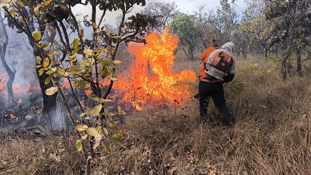 Incêndio atinge área de mata e se alastra por duas quadras em Palmas